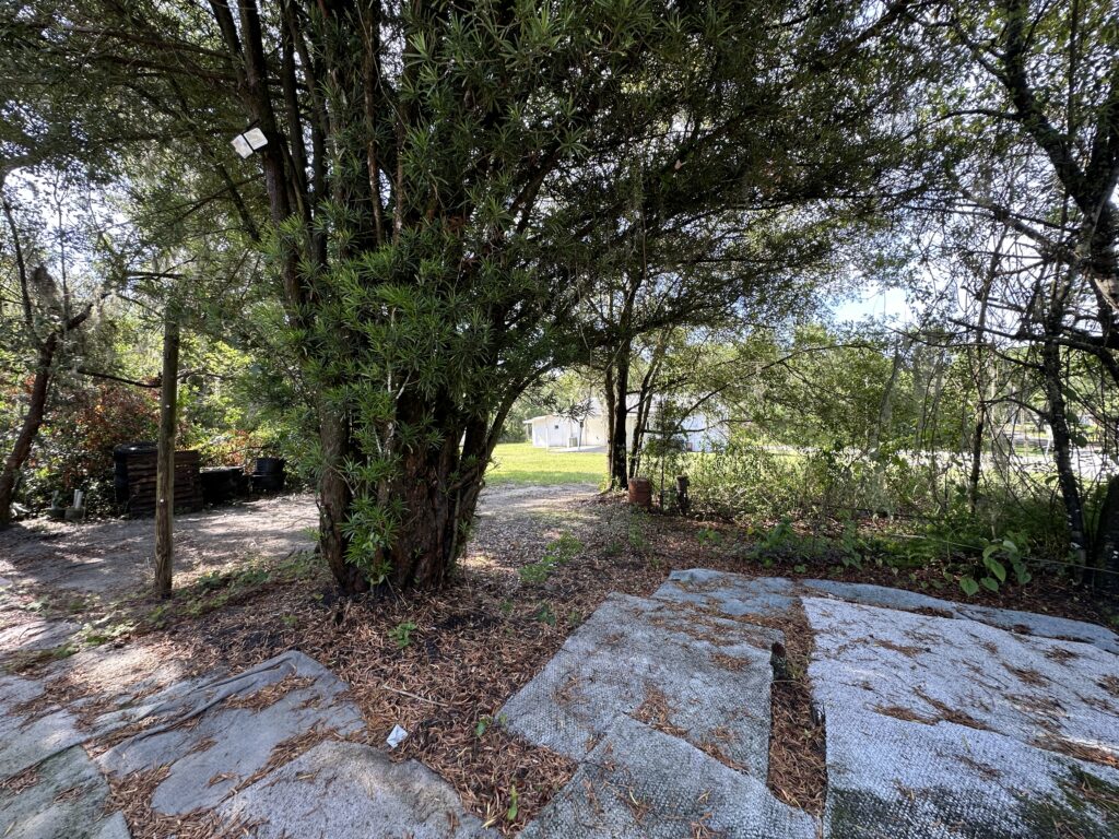 Photo May 28 2025, 9 51 36 AM