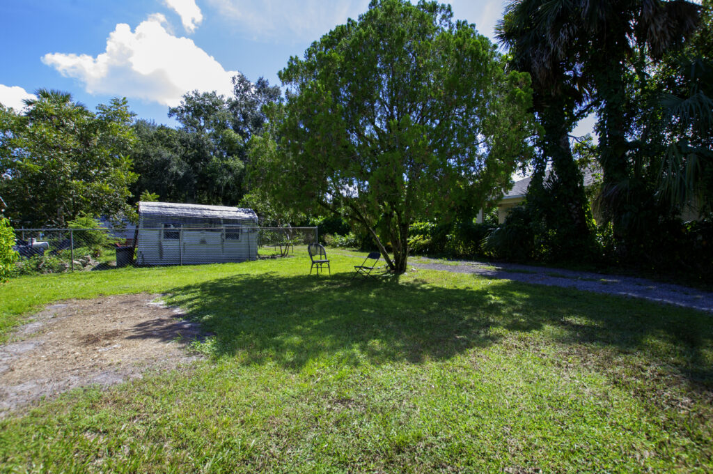 Backyard
