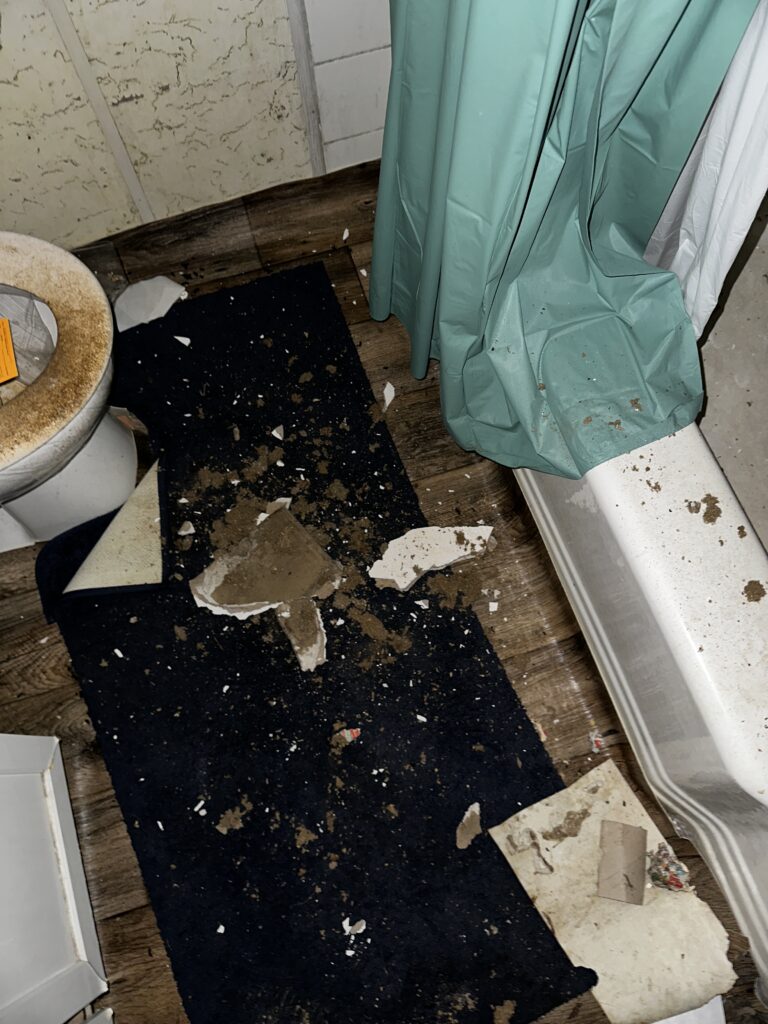 Photo Feb 22 2026, 10 48 36 AM