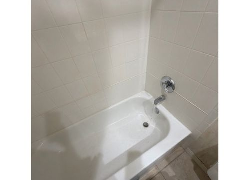 image546